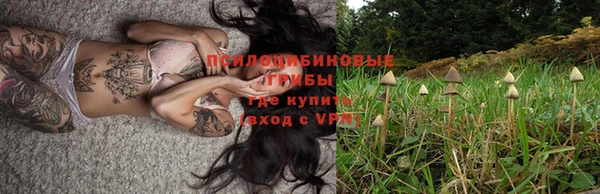 кристаллы Гусев