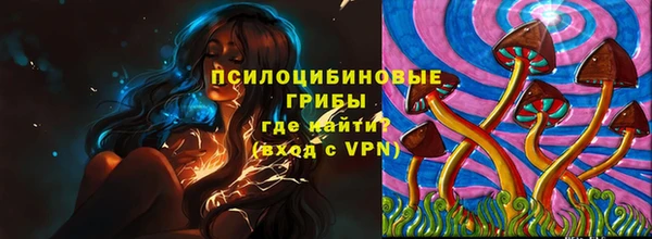 кристаллы Гусев